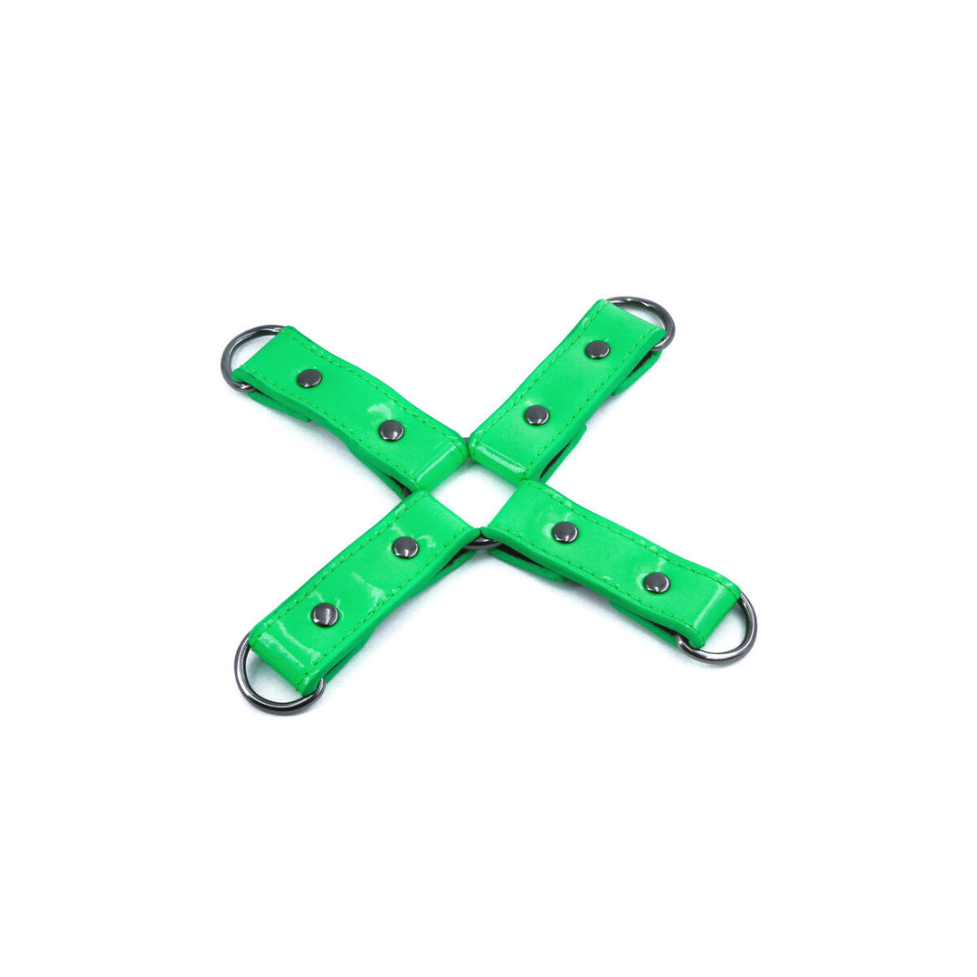 V4H738D99D8C4C93E8EDC1B40890328F9FDR4916670P1