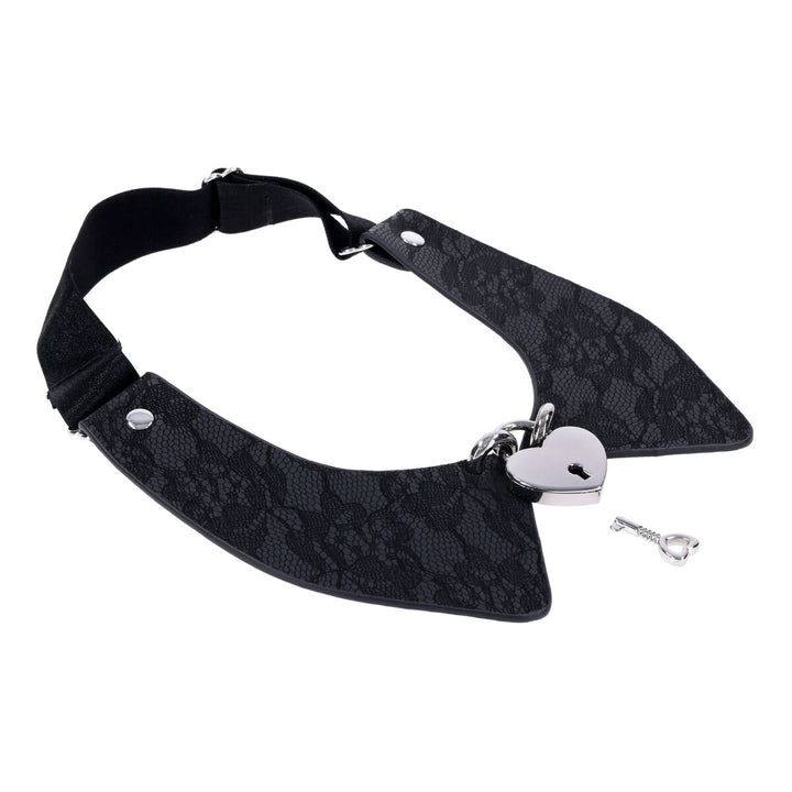 V2H7E87A48C6B4662DAB4F26C8A41CA2E3FR7217921P2