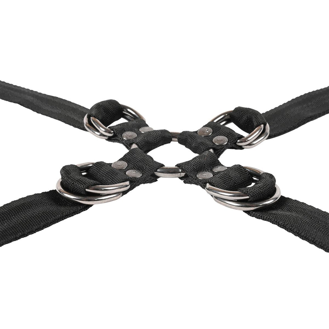 V3H7776E81B10DB574E54672A9AF95314E1R5679115P7