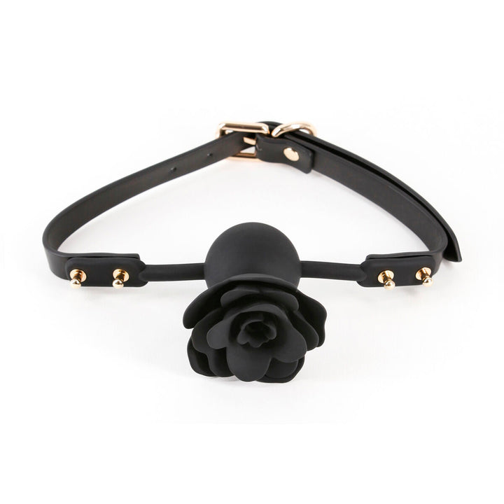 V4H8E91059F8FF027C1286A80DFCFE45EAFR5116636P1