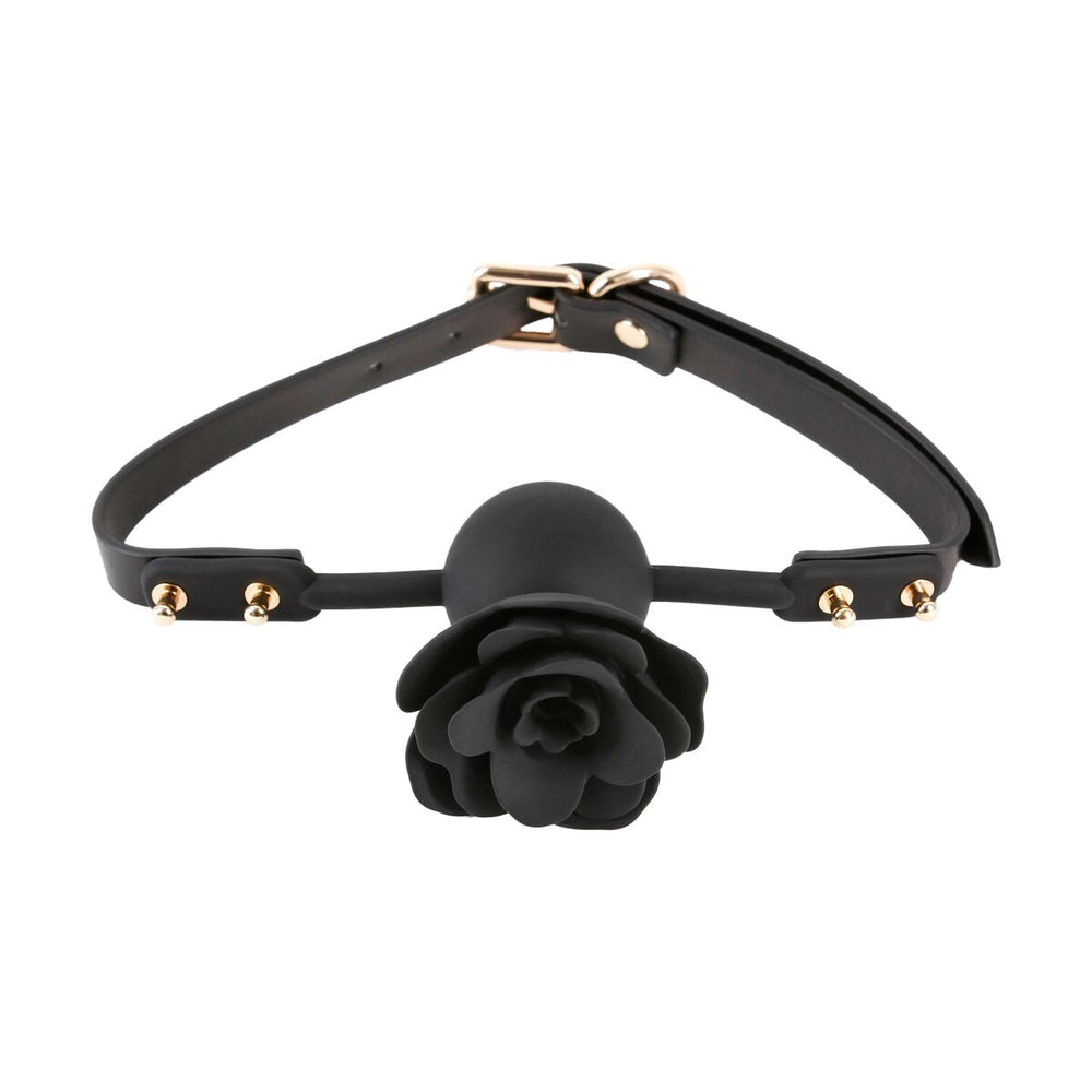 V4HCE44F4CB6949041637220C51053F8CDBR5116638P2