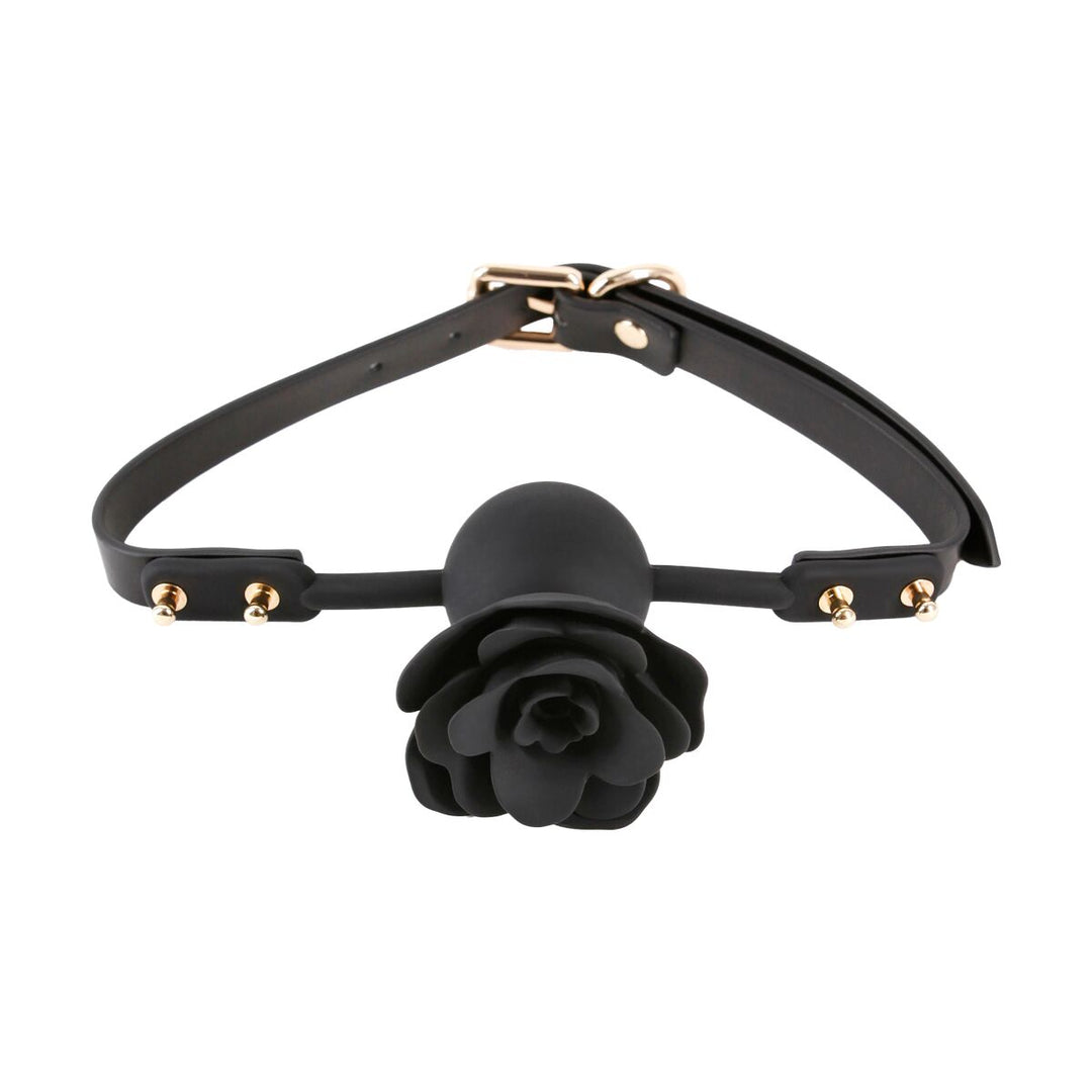 V4HCE44F4CB6949041637220C51053F8CDBR5116638P2