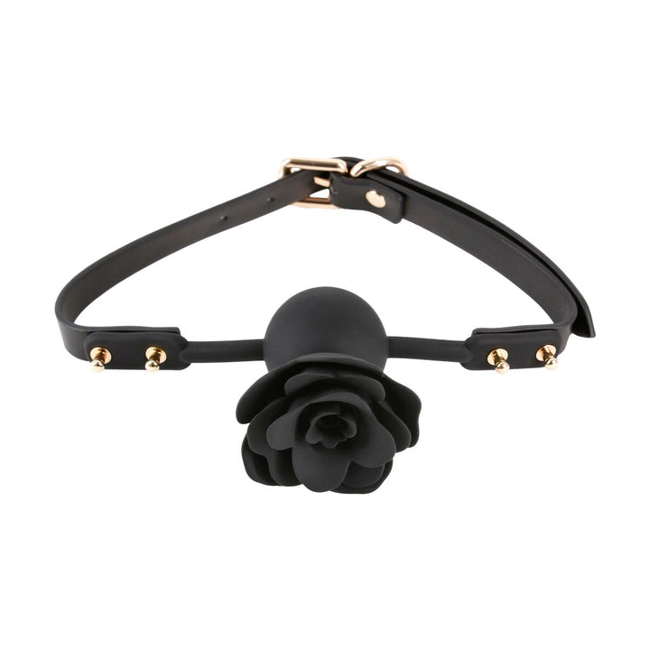 V4HCE44F4CB6949041637220C51053F8CDBR5116638P2