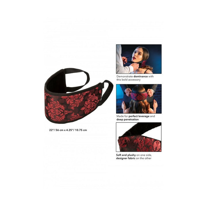 V4H6BB4A1DDB722BADB09EDD9957B754436R4797739P5