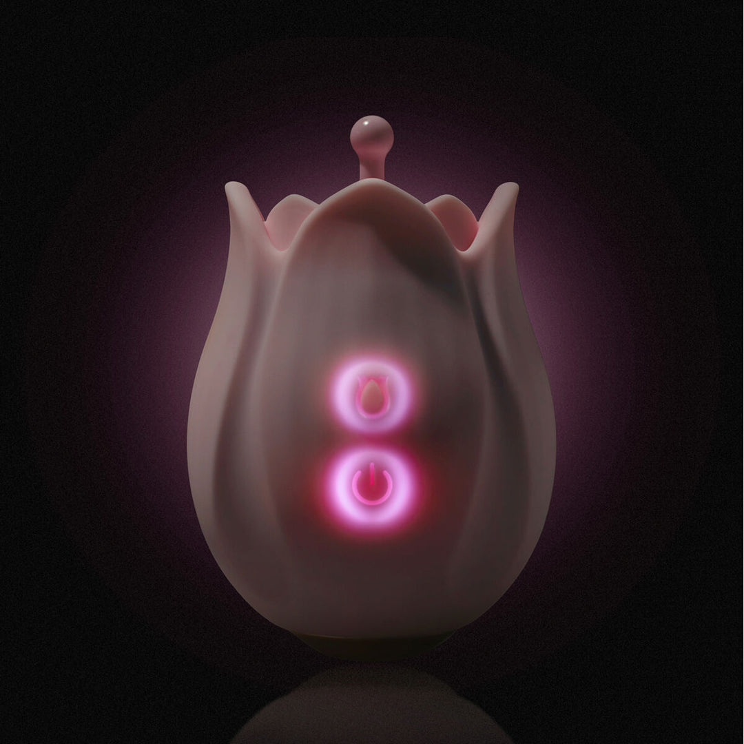 V3HA028E20E2EE1BFA89E0B193B262D38F8R5584141P8