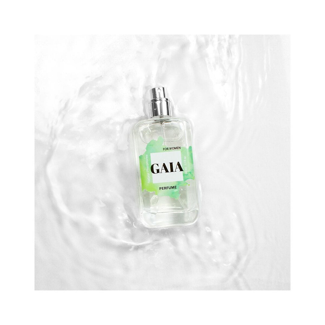 V4HC8CE4490CCECAB09D3A3B0B8EEF9EB1AR5453135P5