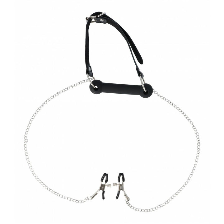 V4H4C8413B4E40C299596EE9A78491E93F6R5123622P1