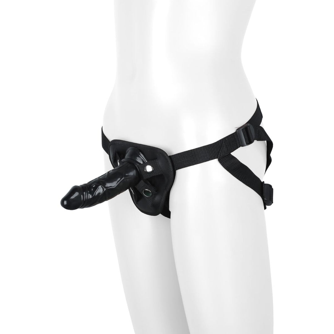 V4H219660D31ABED322BEE1F011A5B3BE1DR4916611P2