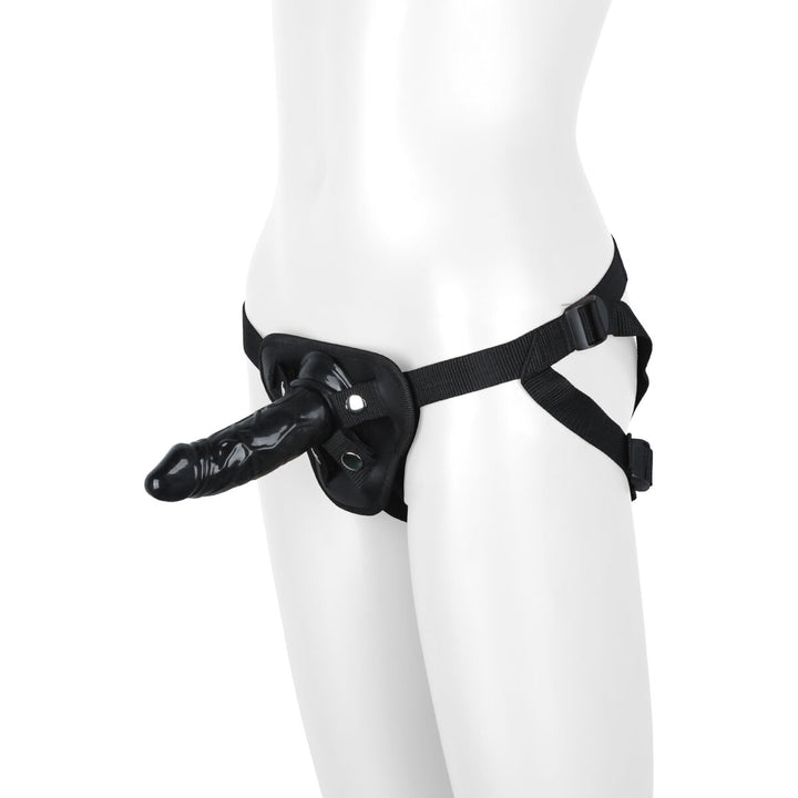 V4H219660D31ABED322BEE1F011A5B3BE1DR4916611P2