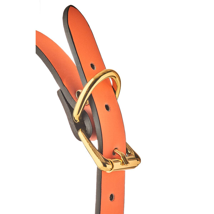 V4H217D9D9DAB96566D01AC8065556CDEB1R5078379P5