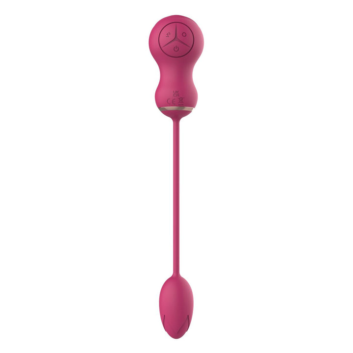 V4HAFE43786855D3F08C437B72B88CAA44ER4916100P6